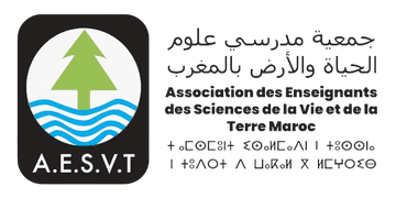 AESVT