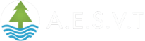 AESVT
