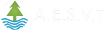 AESVT